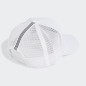 CURVED TRUCKER