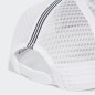 CURVED TRUCKER