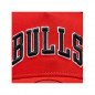 Trucker Chicago Bulls Team Script