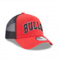 Trucker Chicago Bulls Team Script