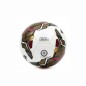 BERG BALLON DE FOOTBALL
