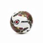 BERG BALLON DE FOOTBALL