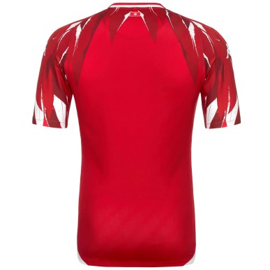 MAILLOT TUNISIE COUPE DU MONDE 2026