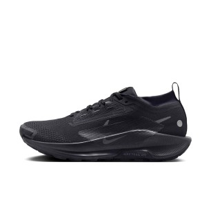 NIKE PEGASUS TRAIL 5 GORE-TEX
