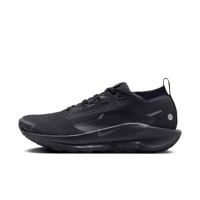 NIKE PEGASUS TRAIL 5 GORE-TEX